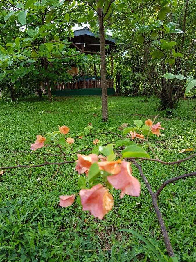 Sigiri Heritage Villa Sigiriya Exterior photo